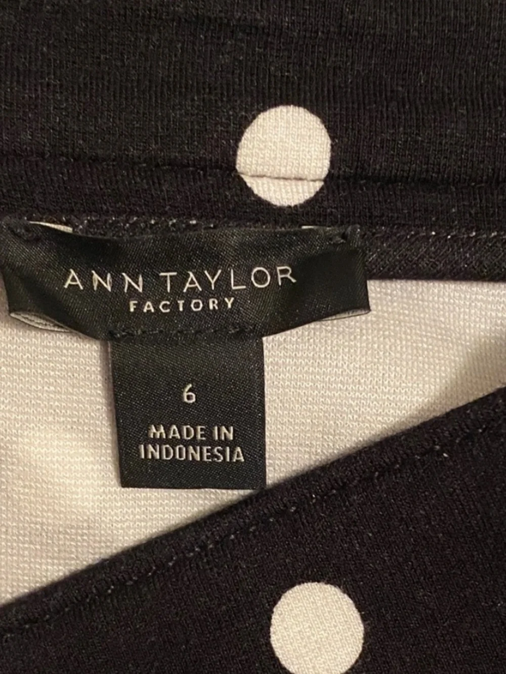 Ann Taylor Factory Polka Dot Skater Skirt Size 6 Parisian Chic